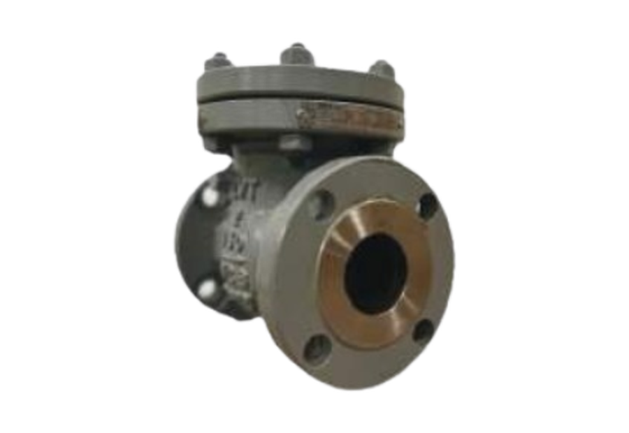 Cast Steel Swing Check Valves