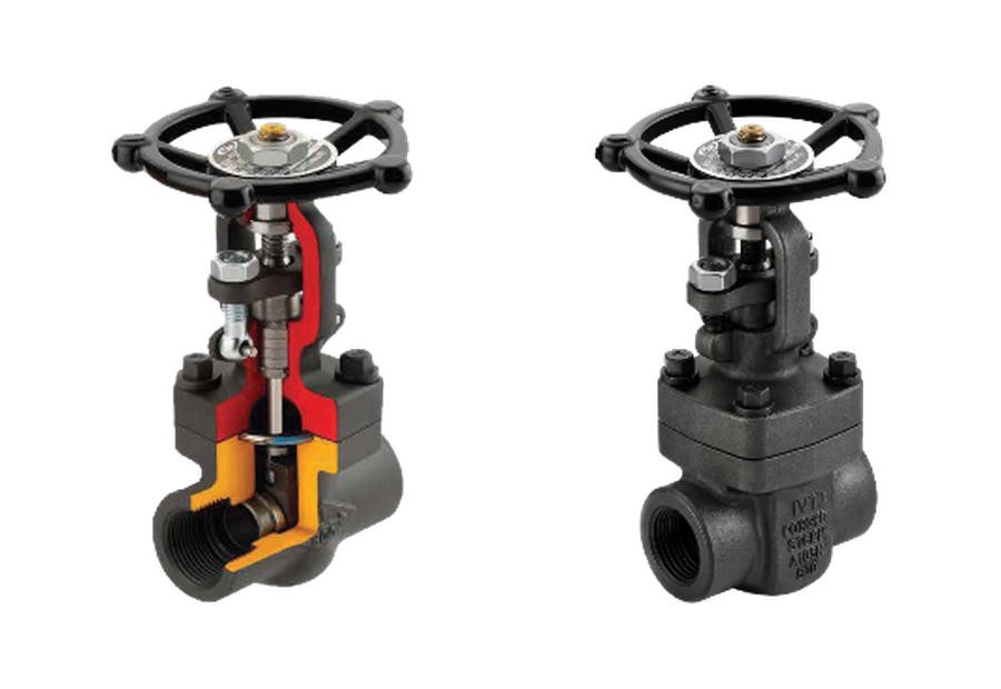 Forged Steel Gate Valves