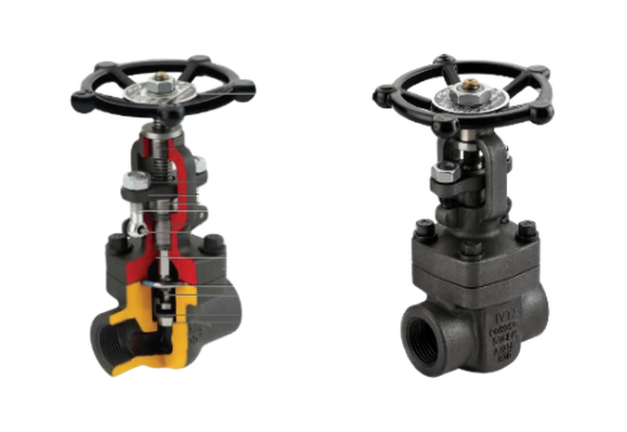 Forged Steel Globe Valves